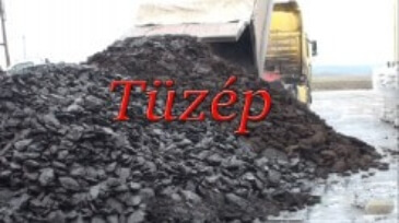 GOHER_tuzep 204